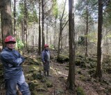 日本の森林の話～静岡県の森林で育まれた木を使う②　/ 富士・富士宮・三島　フジモクの家　